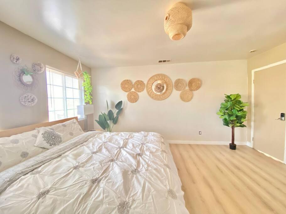 Lincies House 3