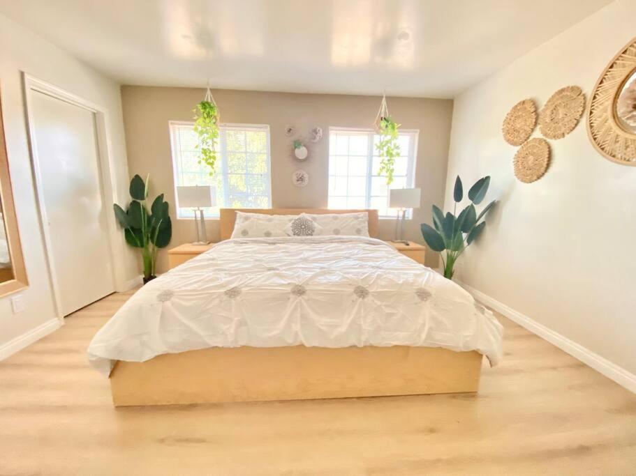 Lincies House 3 Apartment