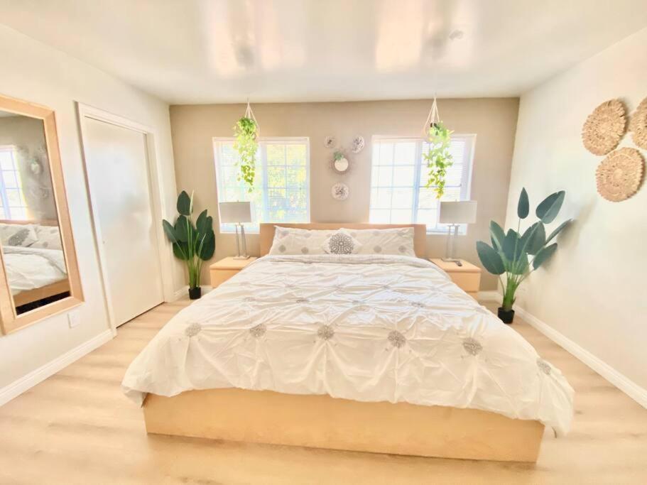 Lincies House 3